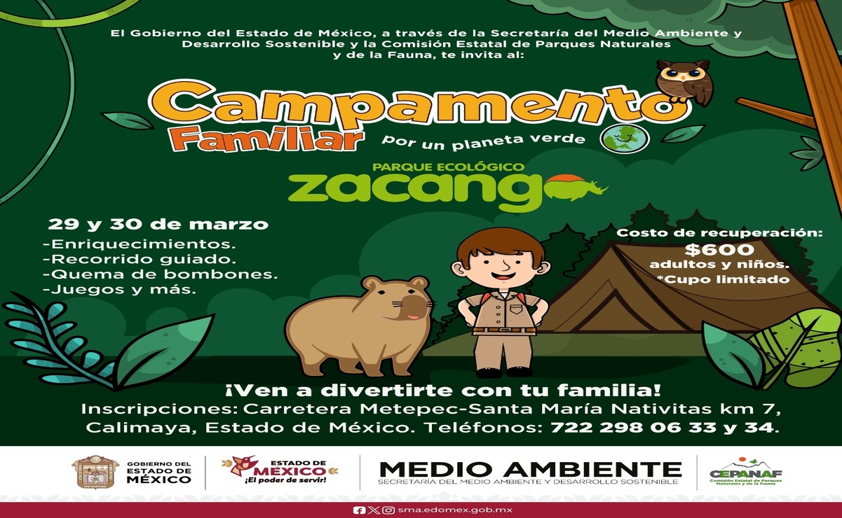 Durante el campamento, los asistentes podrán explorar la magia del bosque junto a los animales del zoológico. Foto: Especial
