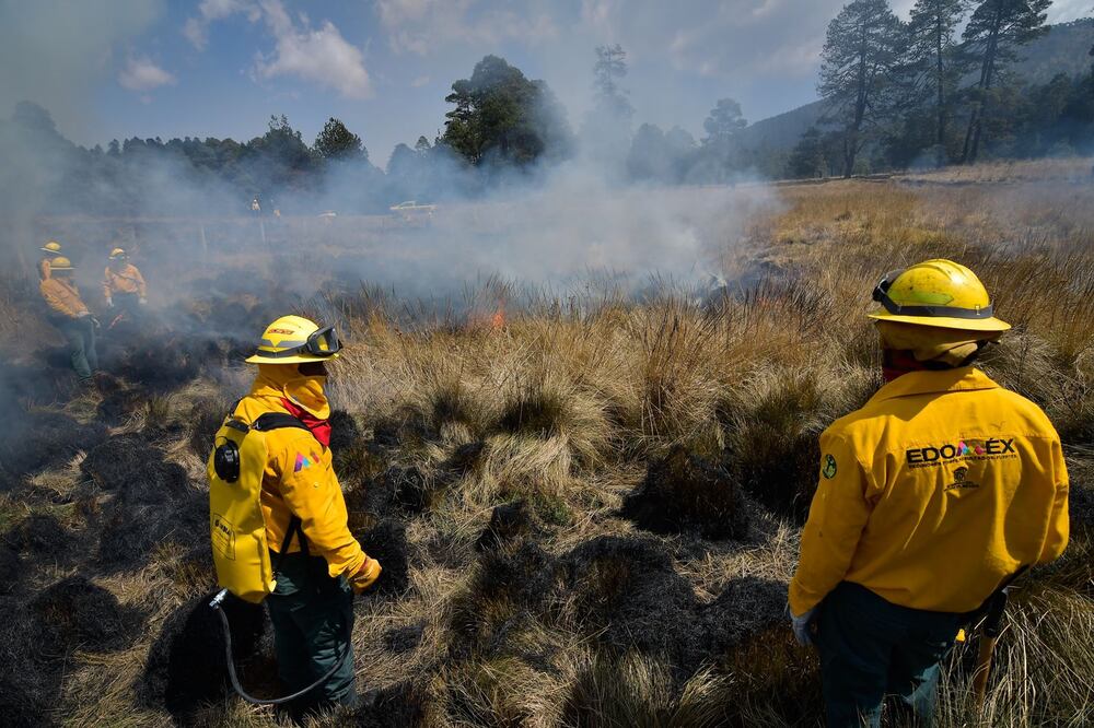 La sequía incrementa los pastos secos y, con ello, el riesgo de incendios. Foto: Arturo Hernández / El Universal Estado de México 