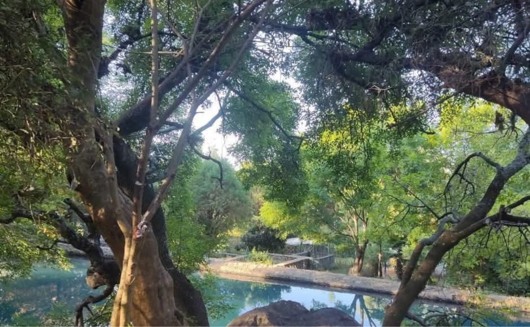 El menor originario del municipio de Ecatepec / Foto: Especial