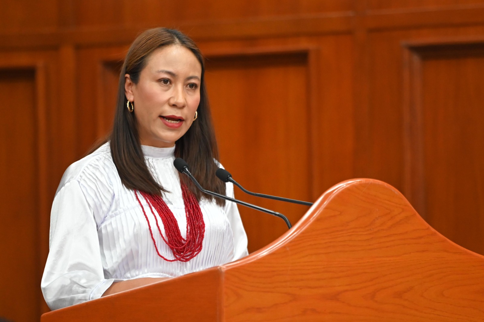 La diputada Leticia Mejía destacó la importancia de proteger las lenguas como factor de paz y diversidad cultural. Foto Especial