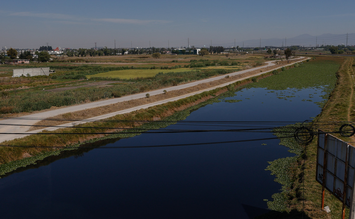 La basura y el lirio provocan que los niveles suban más rápido / Foto: Arturo Hernández