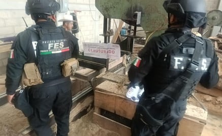 Golpe a la tala clandestina: Clausuran en Xonacatlán posible centro ilegal de almacenamiento de madera 