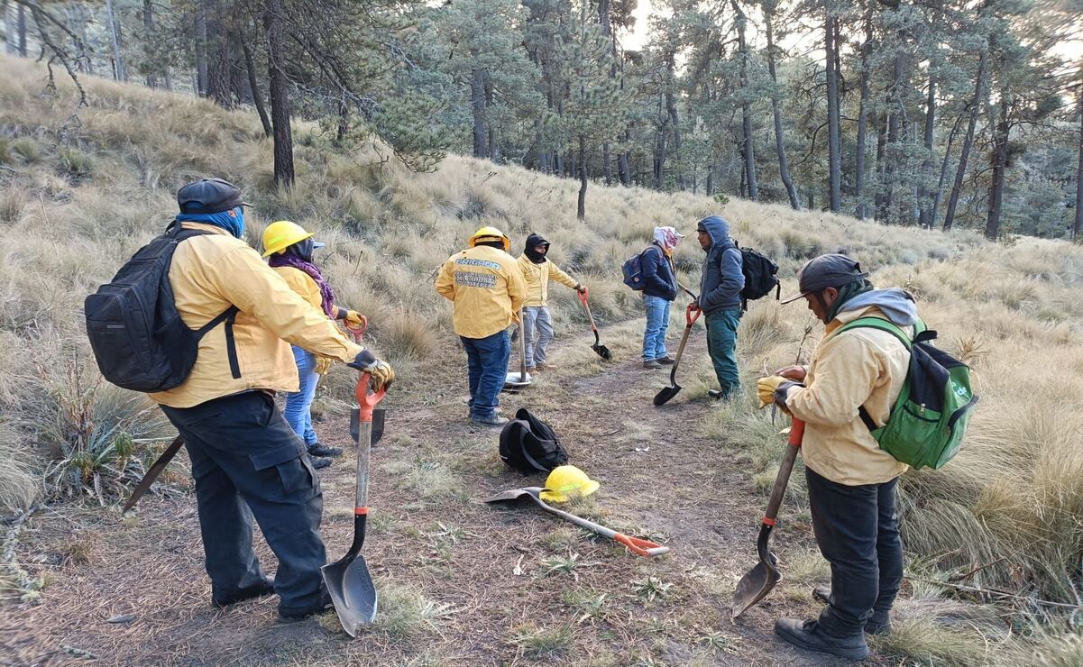 Para combatir las llamas participan 60 brigadistas / Foto Especial