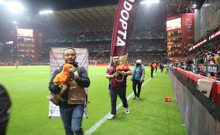 ¡Goles de amor! Adoptan a 5 perritos en el partido Toluca vs Tigres