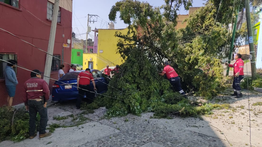 El Gobierno municipal reiteró el llamado a la población a reportar de inmediato cualquier situación de riesgo al 911. Foto: especial
