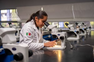 Gusano Cogollero desafía a la ciencia en UACh: "maestro de la supervivencia" que evoluciona contra la naturaleza