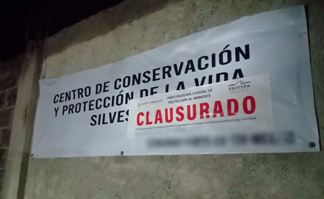 Durante la revisión, las autoridades federales detectaron encierros distintos a los autorizados en el Plan de Manejo oficial. Foto Especial