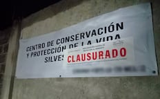 Profepa clausura Animal Experience tras el escape y muerte del tigre de bengala