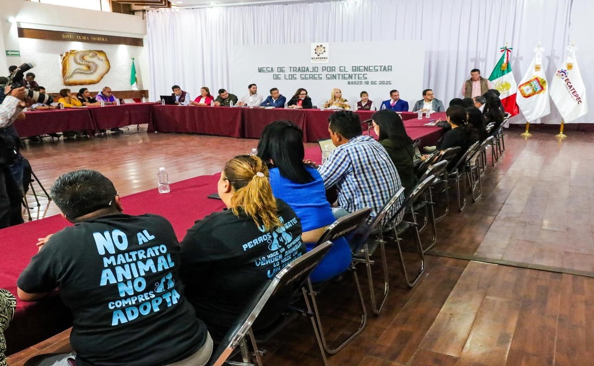 La jornada de atención para animales en condición de calle se derivó de la mesa de trabajo para el bienestar de los seres sintientes. Foto: Especial