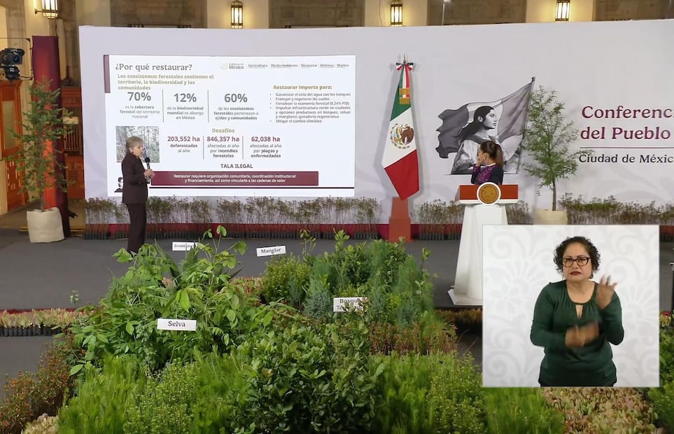 La Jornada Nacional de Reforestación contempla la intervención de 32 mil hectáreas y la plantación de más de 6.6 millones de árboles y plantas en un solo día. Foto especial