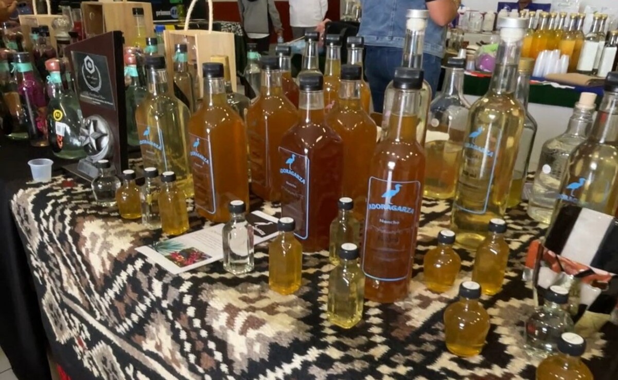 Más de 100 productores se unen en Coatepec Harinas para impulsar el mezcal mexiquense