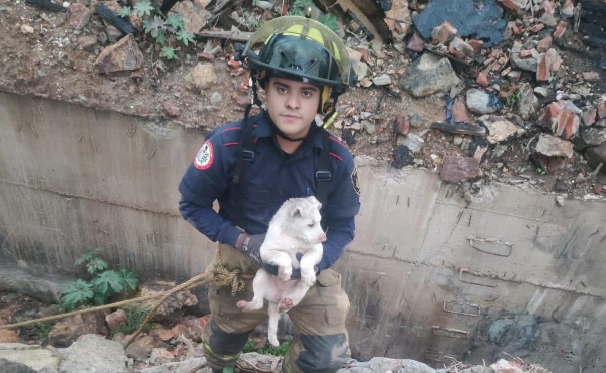 Un bombero de Atizapán de Zaragoza bajo a la barranca para rescatar al cachorro / Foto Especial