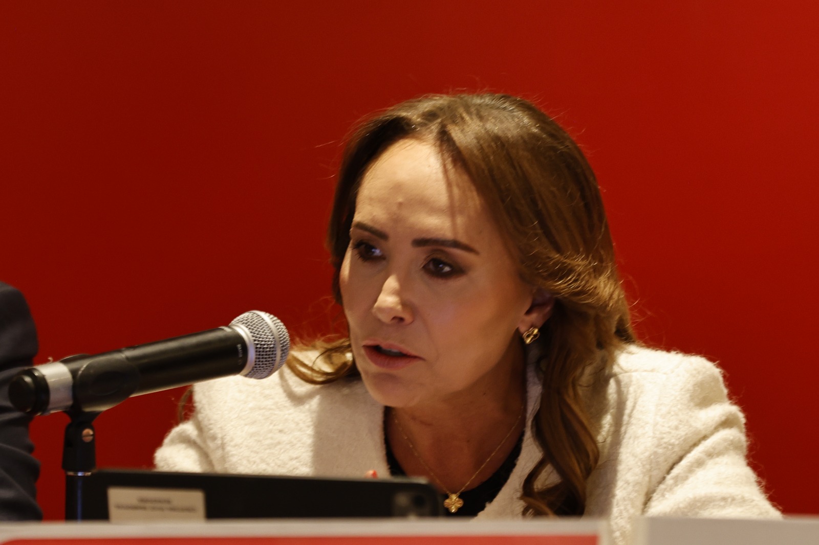 Cristina Ruiz Sandoval / Foto: Especial
