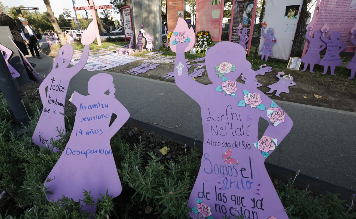 Estado de México: Un llamado a la acción ante la persistente impunidad en casos de feminicidio. Foto: Jorge Alvarado