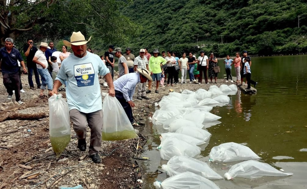 El alcalde Ismael Matías Domínguez destacó que el aprovechamiento sustentable de los recursos naturales es clave para generar nuevas oportunidades de desarrollo. Foto Especial