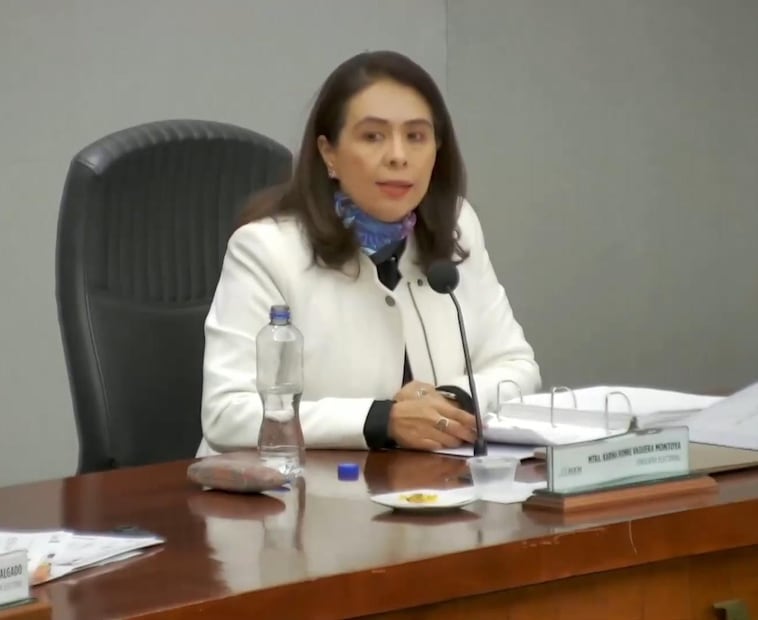 La consejera Karina Vaquera Montoya señaló que la desigualdad persiste en cargos directivos y de toma de decisiones a nivel municipal. Foto Especial