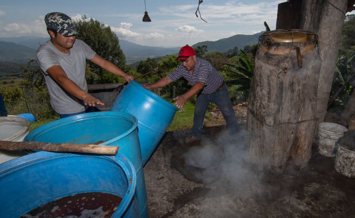 Del agave al acuerdo internacional: El mezcal mexiquense rompe barreras ¡con clases de inglés!