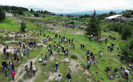Probosque arranca megaproyecto de 20 mil árboles para salvar el agua en Almoloya de Juárez