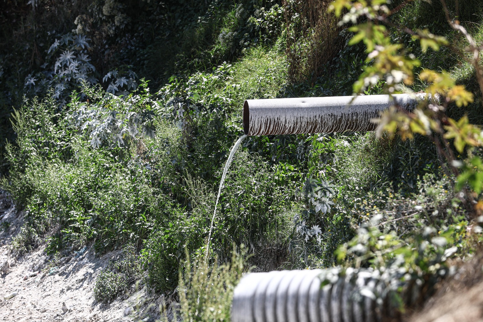 Toneladas de basura cubren la presa, a pesar de limpiezas recientes por parte del municipio. Foto Gabriel Pano