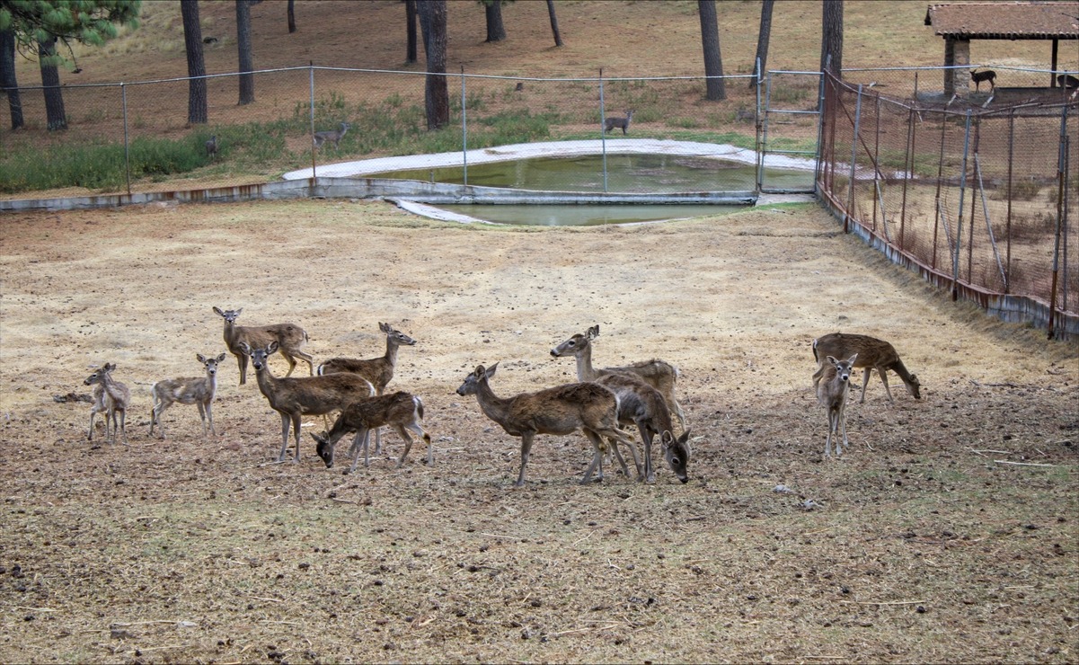 Los visitantes disfrutan de la recreación ambiental / Foto: Especial