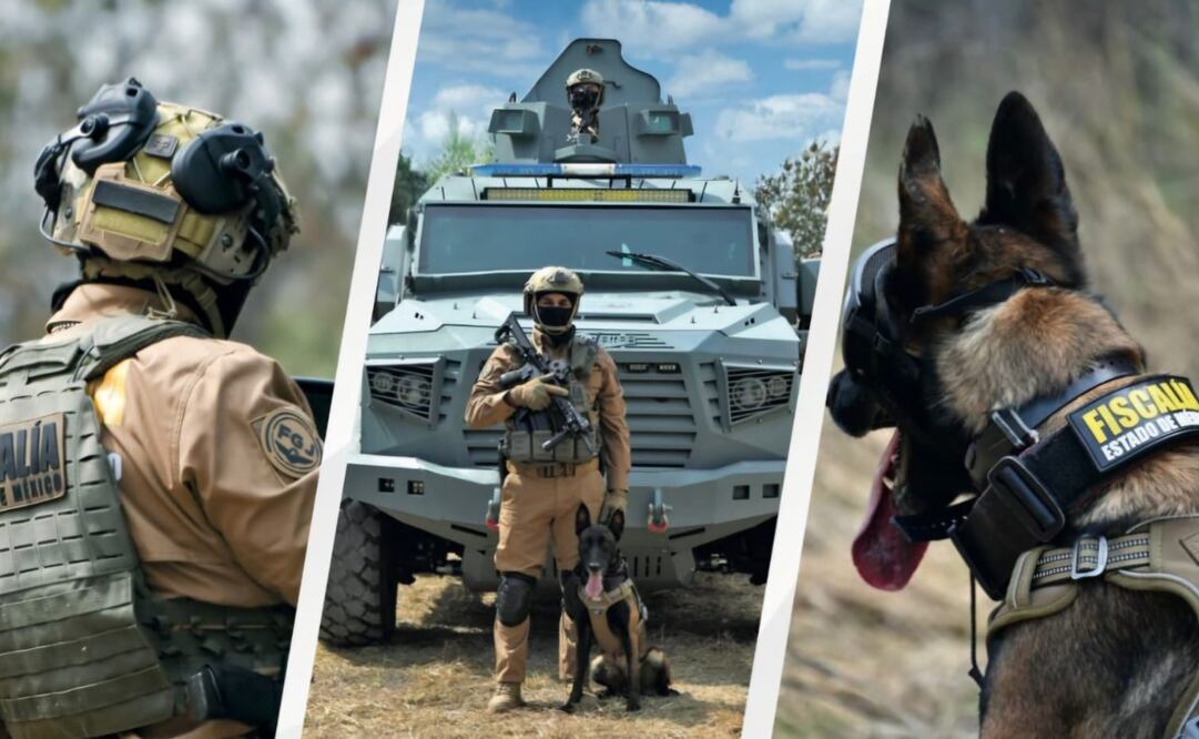 La Fiscalía mexiquense ha implementado diversas operaciones de combate a los delitos. Foto. Especial