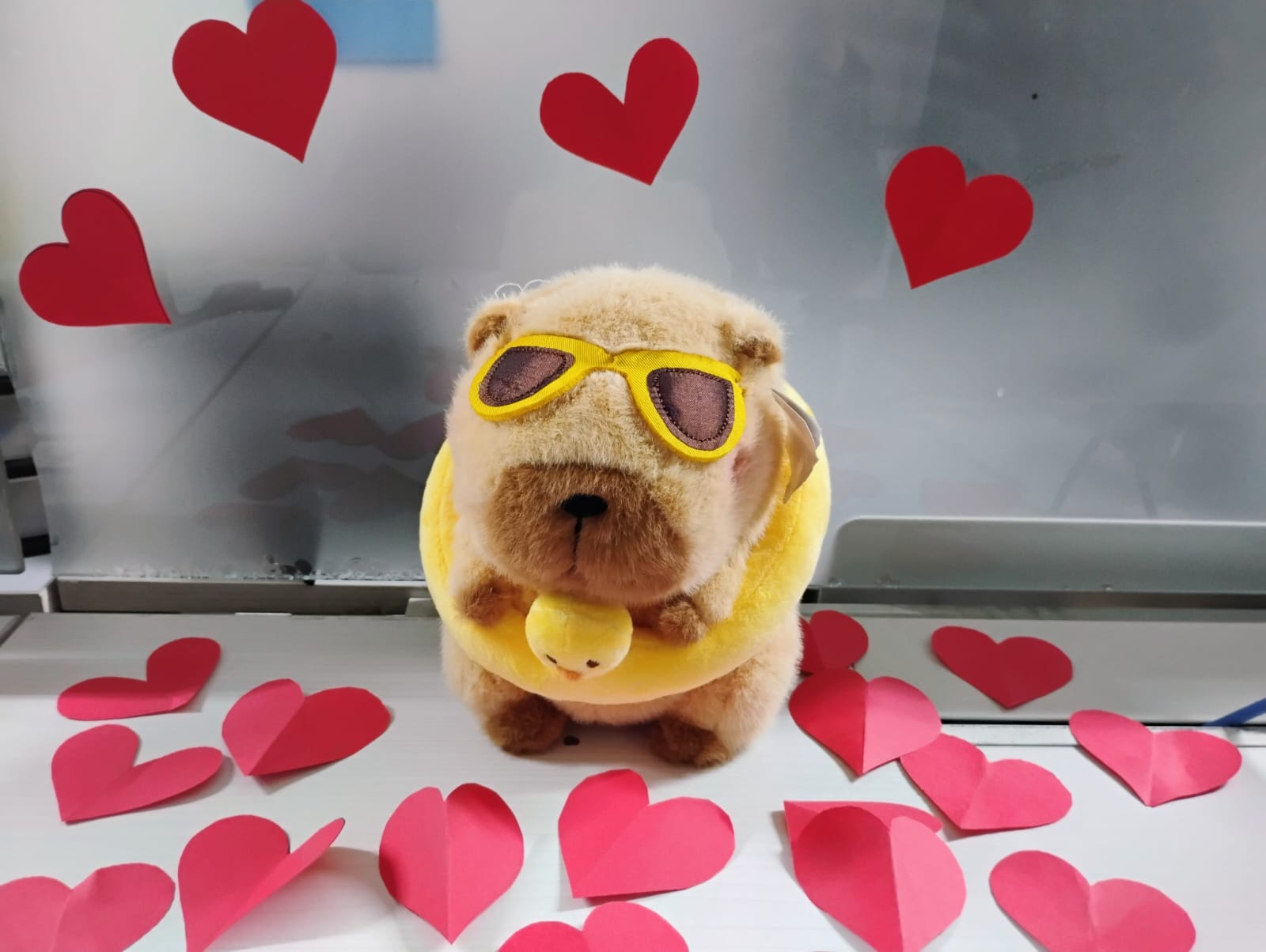 Los capibaras, esos simpáticos roedores que han conquistado las redes sociales, esconden un mundo de curiosidades. Foto Especial