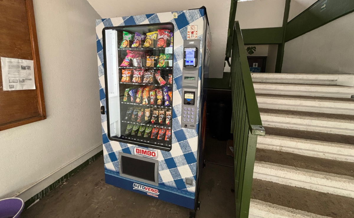 Los alimentos ultraprocesados, las bebidas azucaradas y con cafeína y la comida chatarra estarán prohibidas en las escuelas. Foto: Miguel García