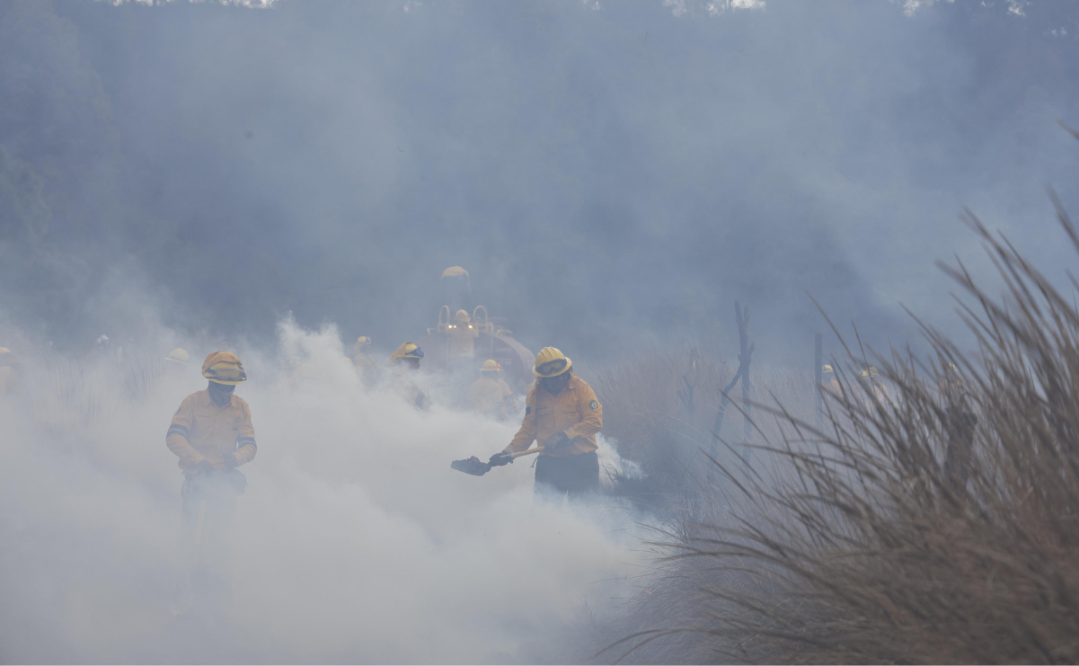 Cuatro incendios forestales activos son combatidos en distintos puntos del Estado de México, informa Probosque. Foto: Arturo Hernández