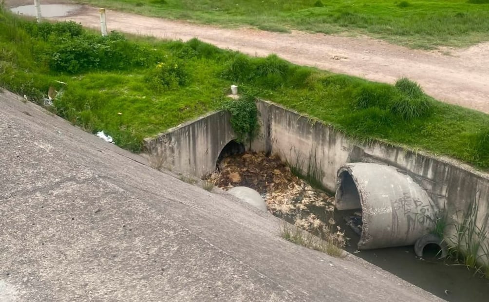 Vecinos alertan que los restos de pollos provocan "tapones" en los ríos, elevando el riesgo de inundaciones durante la temporada de lluvias. Foto Especial