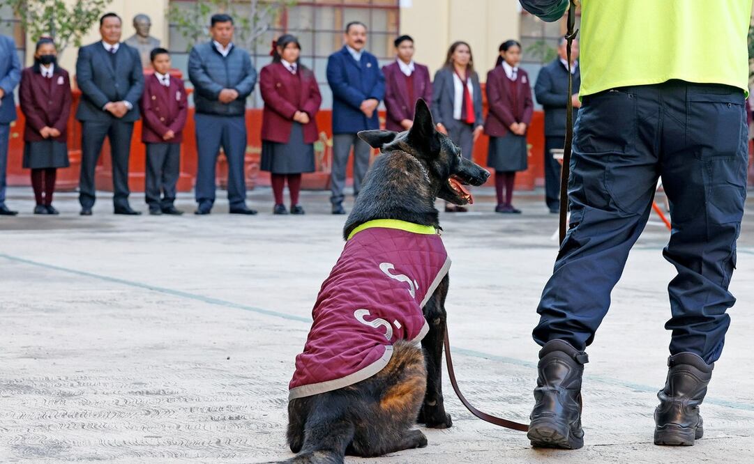 Inicia en Edomex la campaña nacional “Aléjate de las drogas. El Fentanilo te mata” / Foto Especial