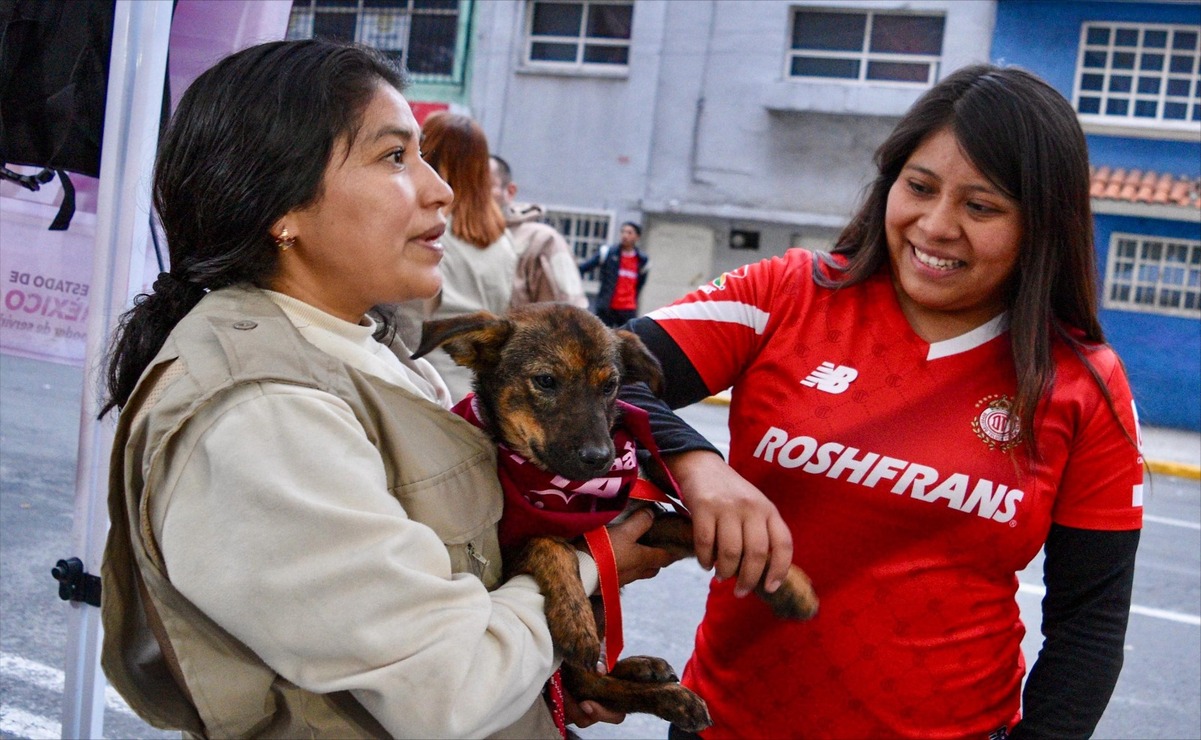 El Estadio Nemesio Diez es sede de la jornada de adopción de los lomitos en el arranque de la Liga MX. Foto: Especial