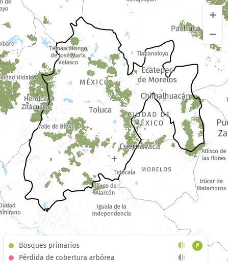 Once regiones del Edomex concentran el 49% de la deforestación, destacando Temascaltepec y Valle de Bravo. Foto Especial