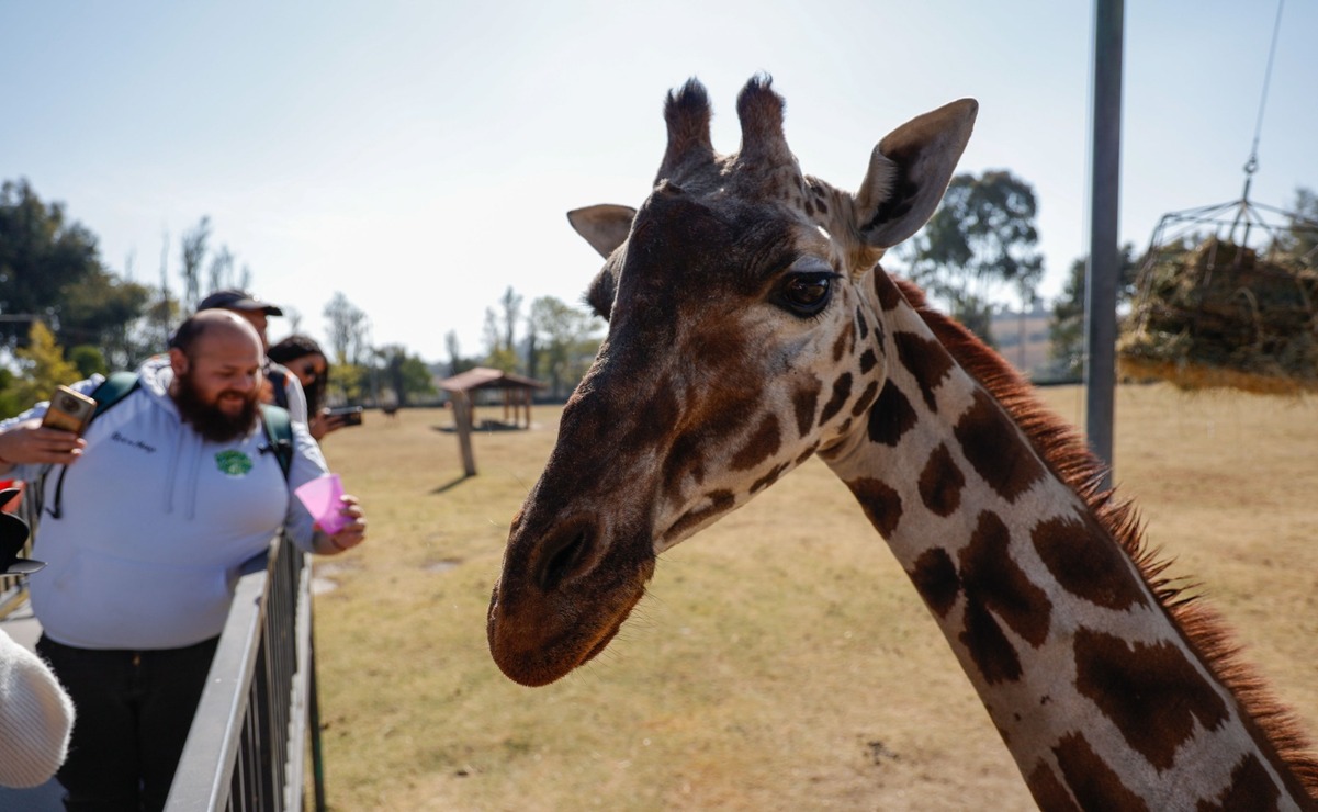 Zacango es un tesoro ecológico del Estado de México / Foto Arturo Hernández