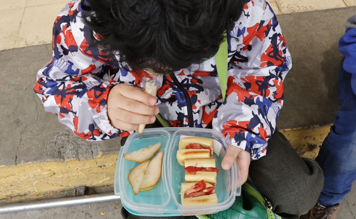 Escuelas libres de 'chatarra', pero con el desafío de hacer accesible la alimentación nutritiva para todas las familias Foto: Jorge Alvarado