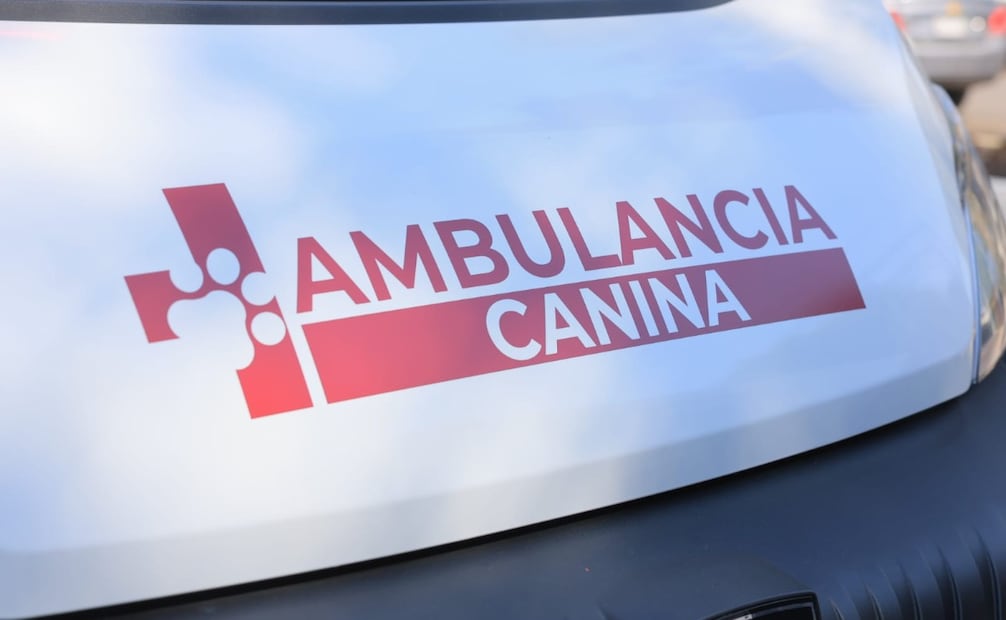 Las unidades médicas cuentan con quirófano, jaulas de cirugía, sistema de oxígeno y refrigerador médico. Foto Especial