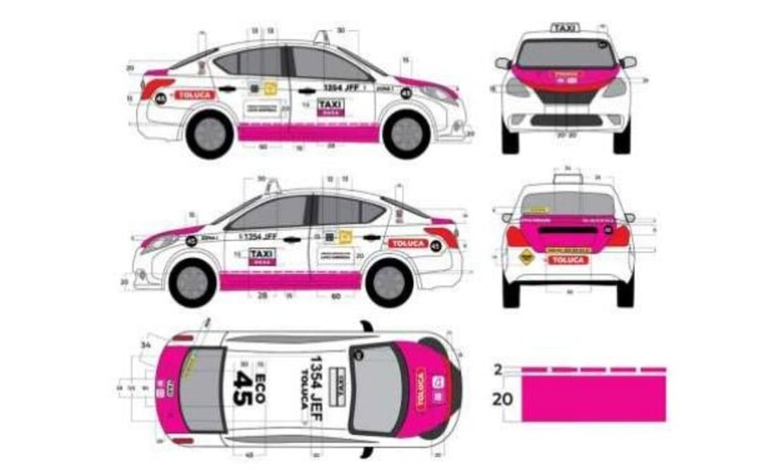El objetivo es homologar la imagen del transporte público para promover la seguridad vial / Foto Especial