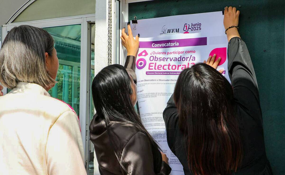 El INE reporta el registro de 70 solicitudes para participar como observadores. Foto: Especial