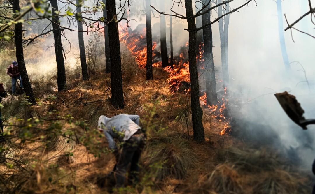 De 20 mil a 42 mil hectáreas: la devastadora realidad de los incendios en el Edomex. Foto: Especial