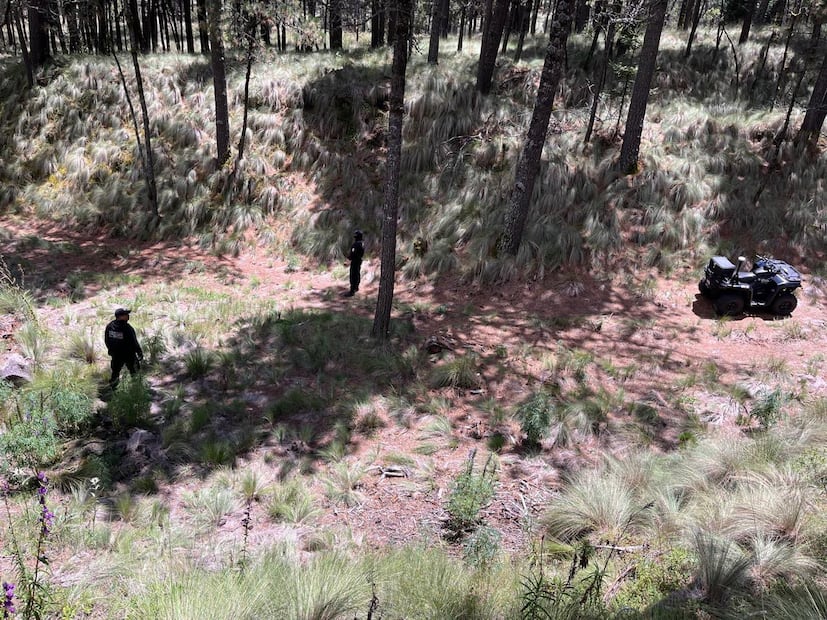 El hallazgo ocurrió tras un reporte ciudadano recibido por el Centro de Control, Comando y Comunicación de Amecameca. Foto: especial