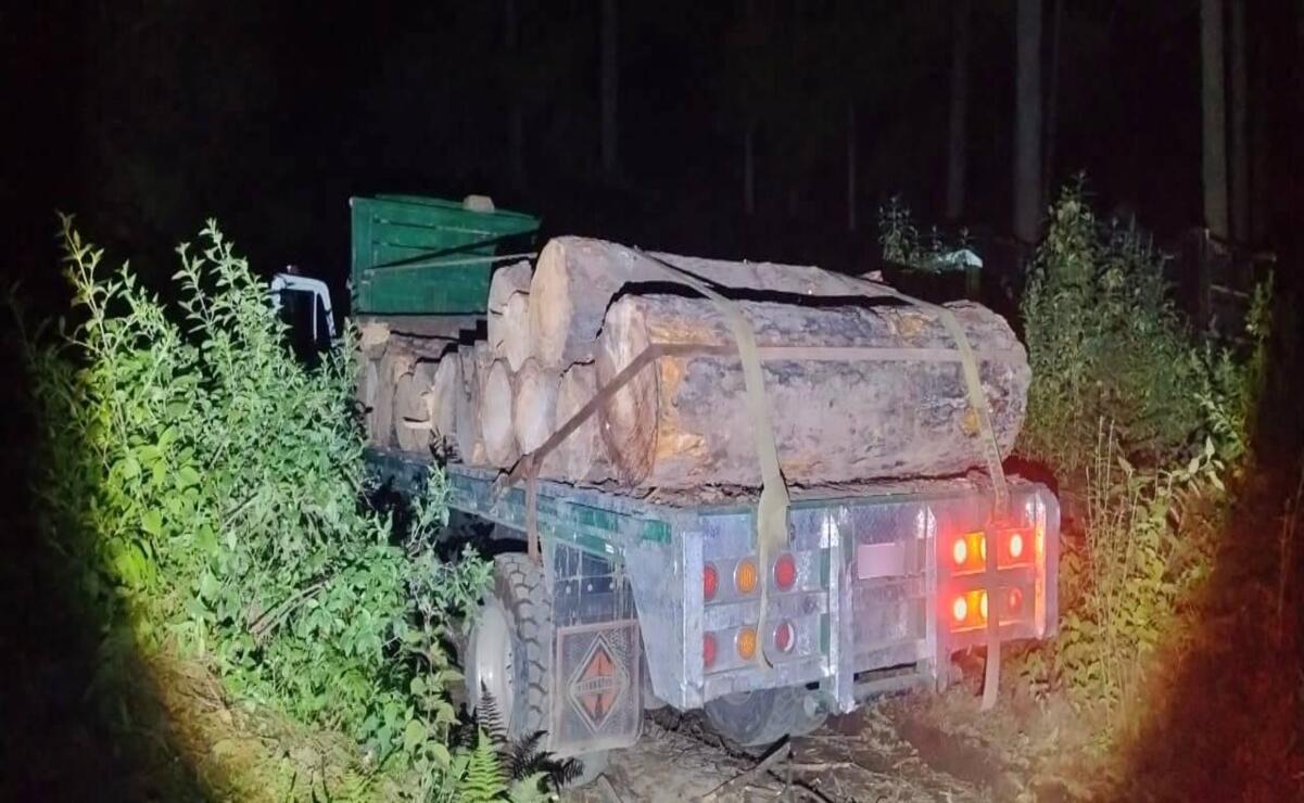 Aseguran tres unidades pesadas vinculadas a tala clandestina en Texcaltitlán