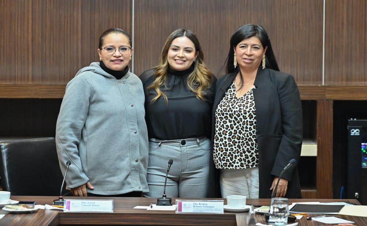 Krishna Karina Romero Velázquez indicó que los menores que participan en procedimientos judiciales lo hacen en entornos que no responden a sus necesidades. Foto: Especial