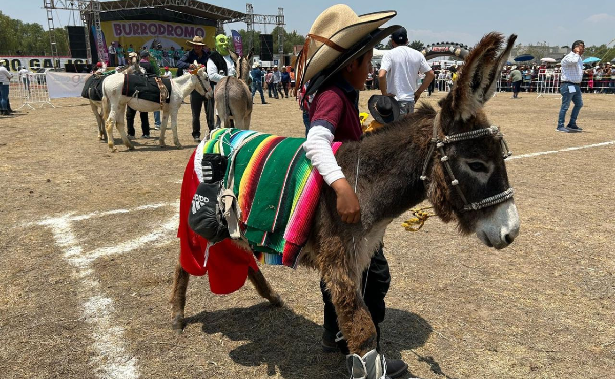 En el corazón de Otumba, la fiesta del burro sigue viva después de 60 años. Foto: Emilio Fernández
