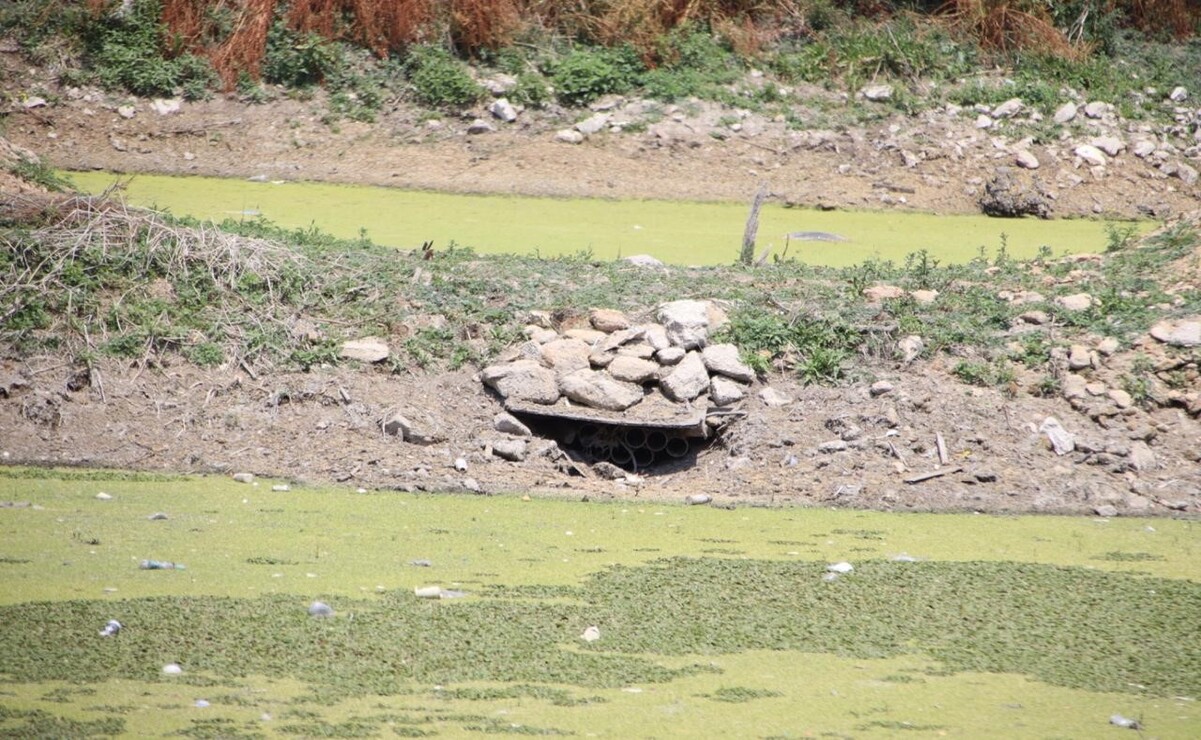 En el "corredor de polinizadores" arrojaron cascajo desde abril hasta septiembre u octubre del 2024. Foto: Especial