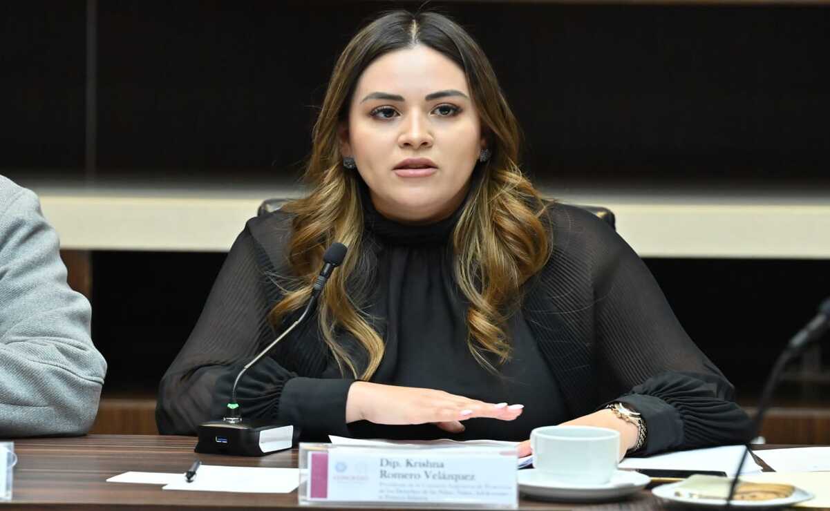 La iniciativa propuesta por la diputada Krishna Karina Romero Velázquez, busca limitar al mínimo la participación de menores en procedimientos judiciales. Foto: Especial