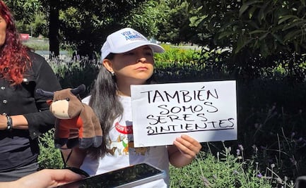 Activistas se manifiestan en el Congreso local para que se analice y apruebe la prohibición de las corridas de toros