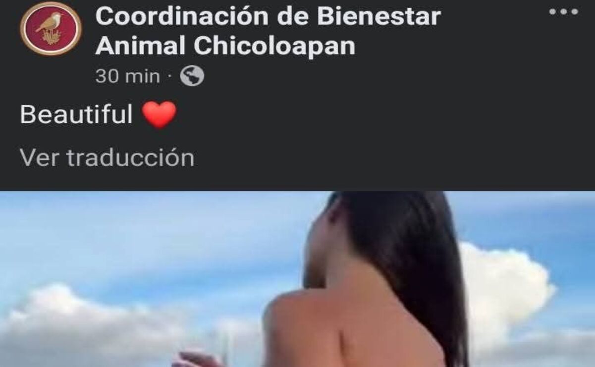 En las cuentas oficiales que fueron “hackedas” se subieron imágenes y videos con contenido inapropiado. Foto: Captura de pantalla