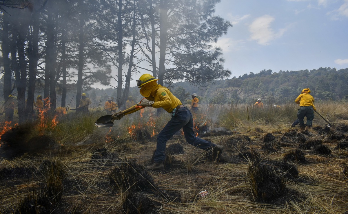 Del 01 de enero al 13 de abril de 2025, se han registrado 448 incendios forestales / Foto Especial