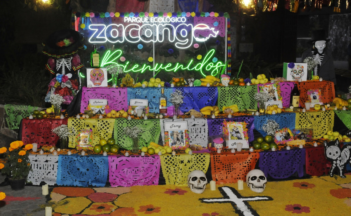 La actividad terminó con el recorrido por los altares y ofrendas inspiradas en el Día de Muertos. Foto: Especial
