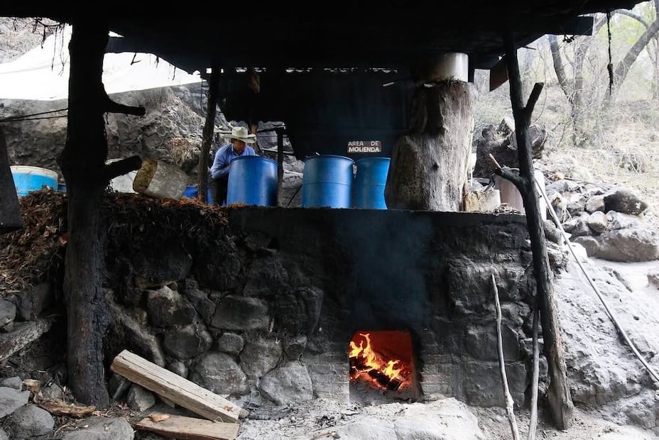 El diputado Israel Espíndola presentó la iniciativa que busca equilibrar las técnicas ancestrales con la innovación tecnológica en la entidad. Foto Alejandro Vargas / El Universal