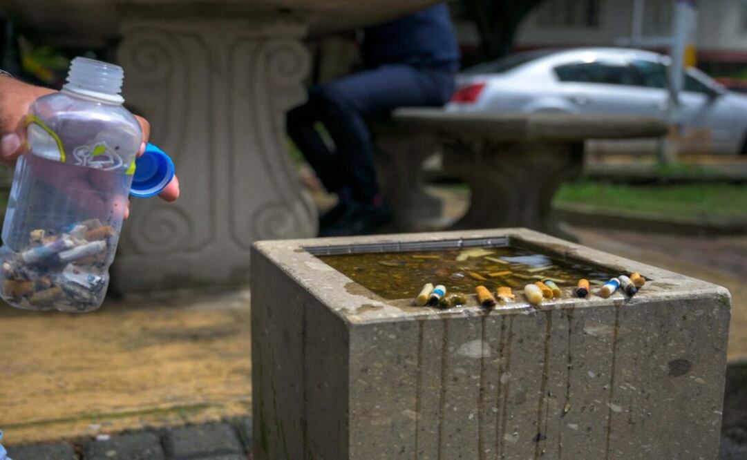 La UAEMex realizó el Ecolillatón 2024 para recolectar residuos de cigarros en Toluca. Foto: Especial.